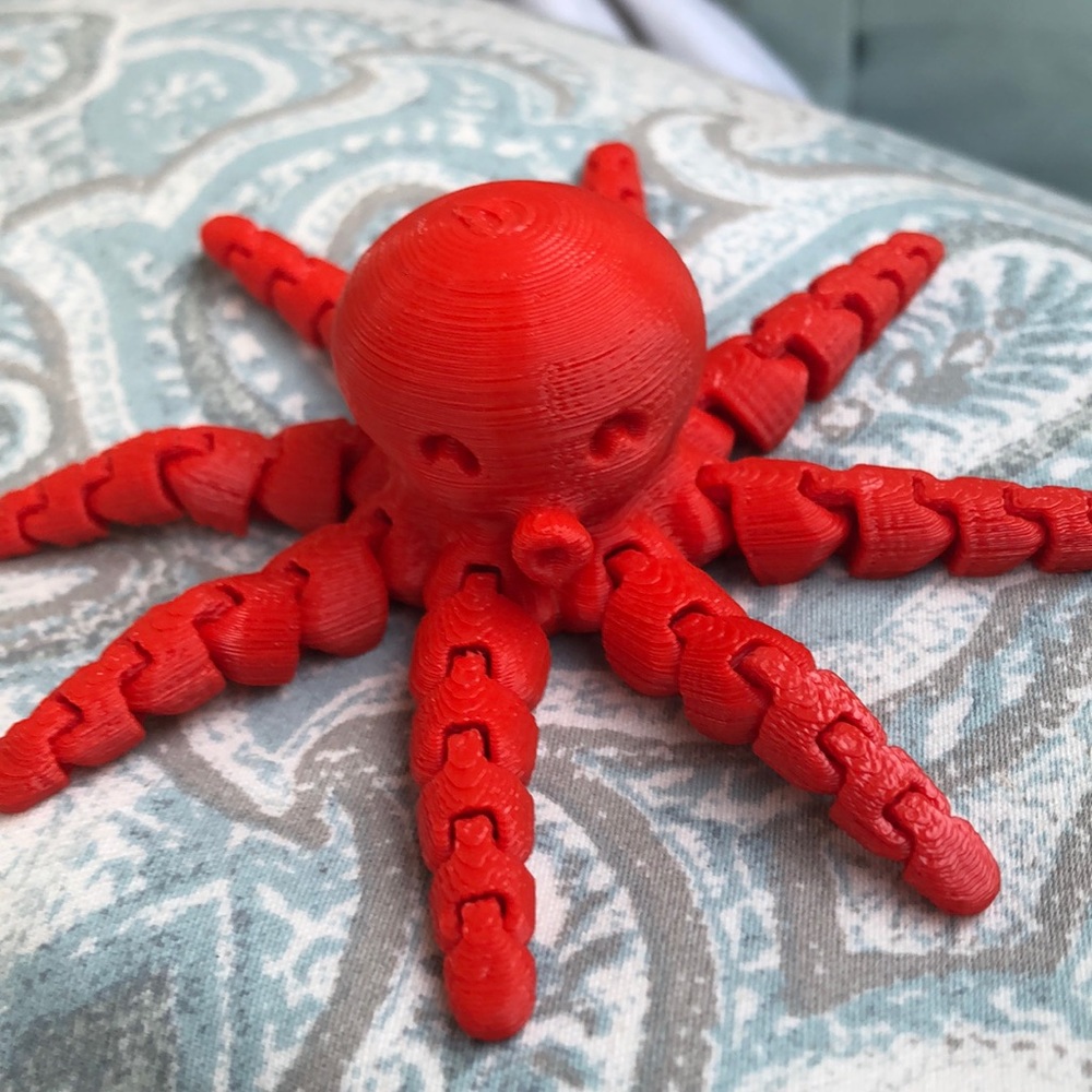 3-D printed octopus